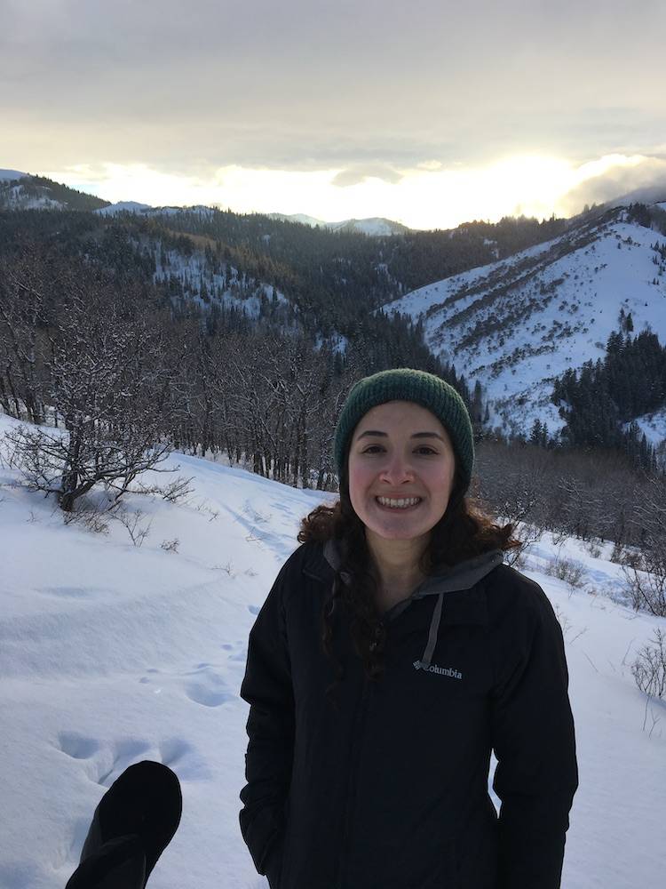 Person standing in front of snowy mountain