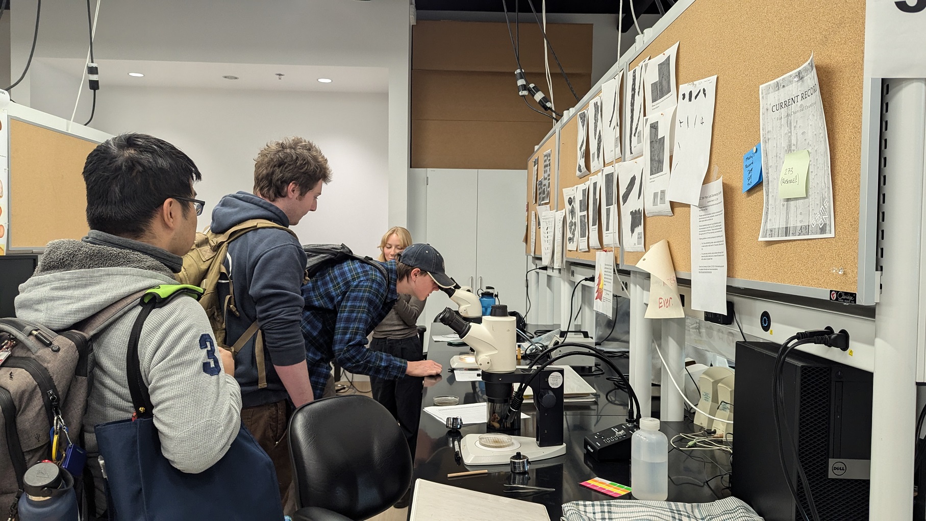 Students peer into microscope