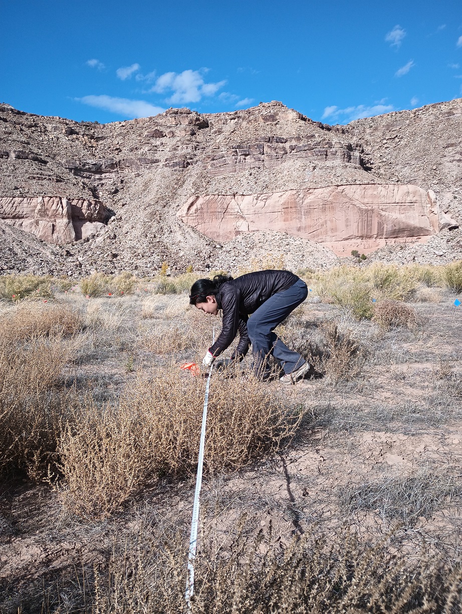 Student sets up a vegetation plot