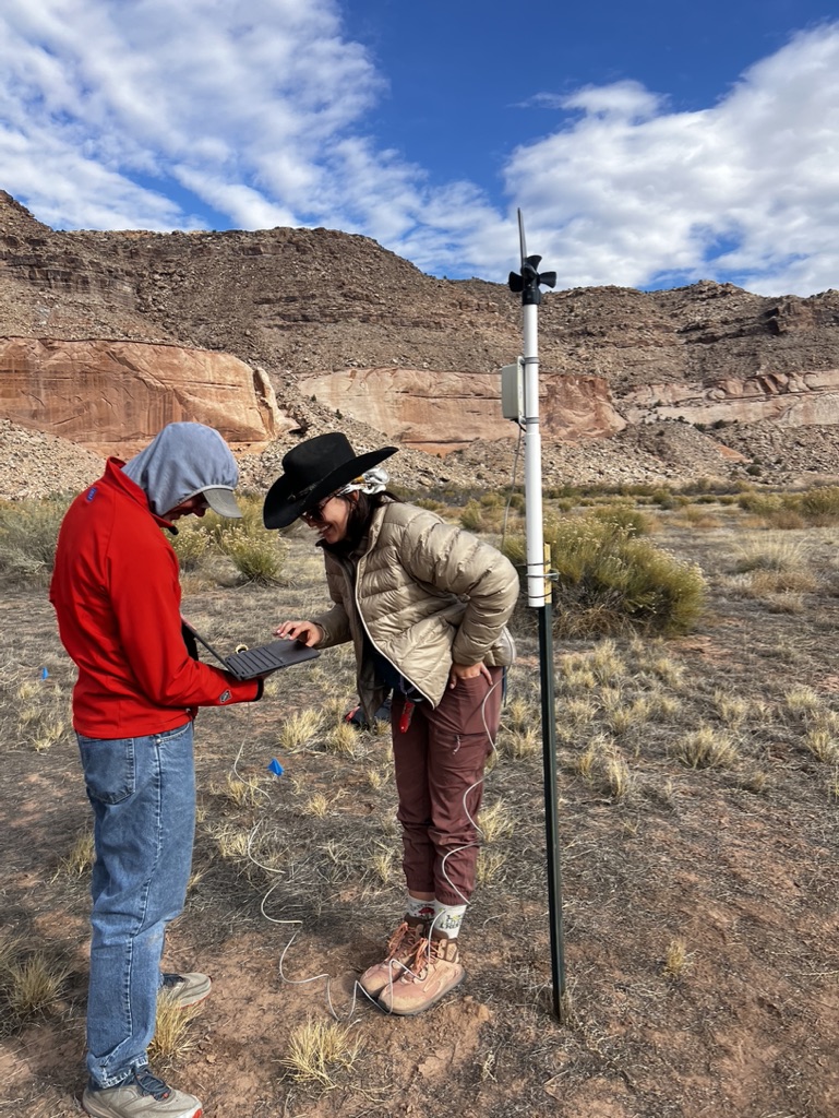 Field research for vegetation survey