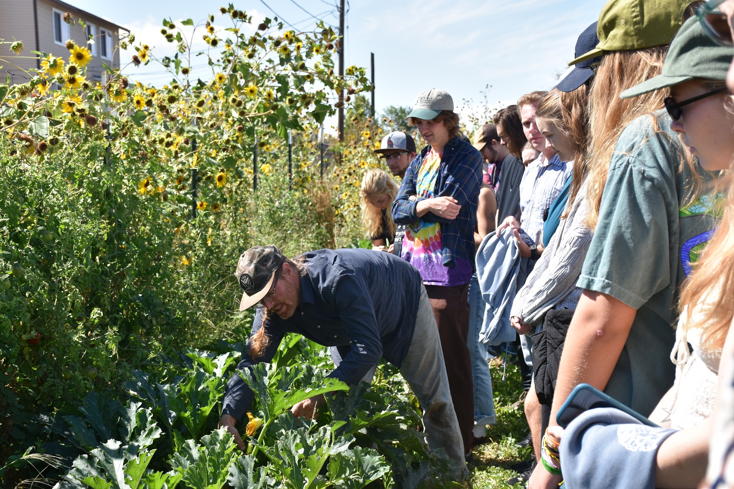 Shad, owner of Stagl Organics farm, teaches students about zucchini squash on his organic farm 