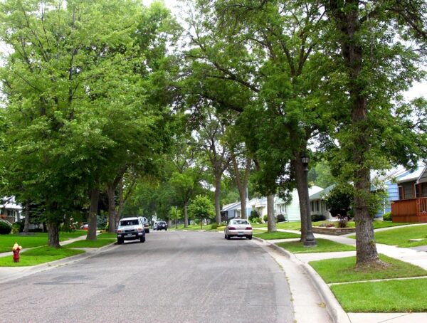 Street in Chicago lined with trees