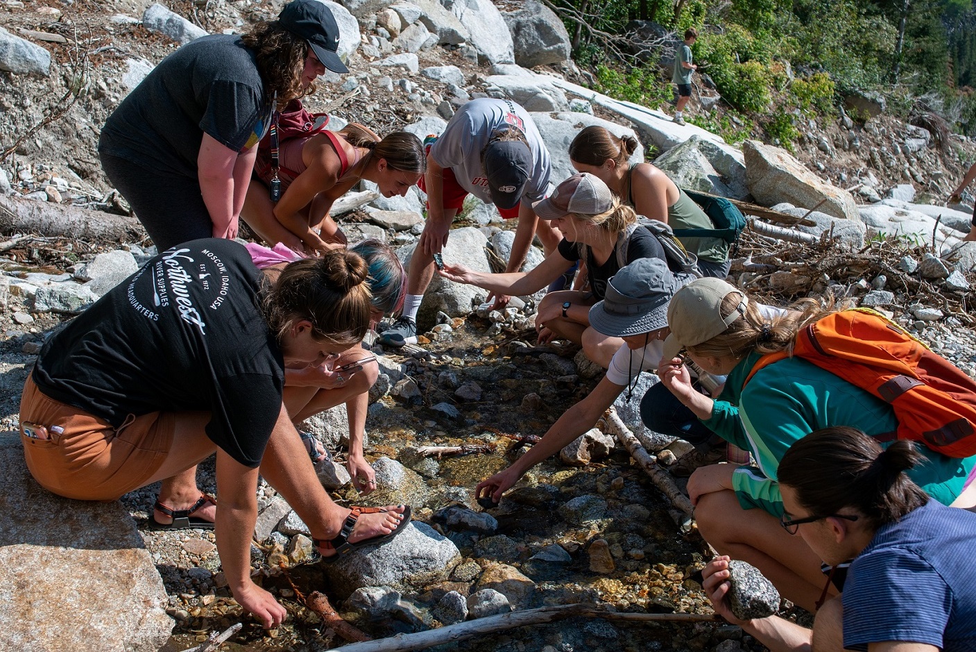 Students kneeling over looking for stream bugs 