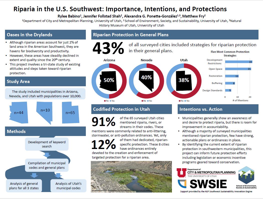 Research poster "Riparia in the U.S. Southwest: Importance, Intentions, and Protections"